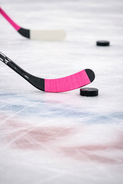 Pink the Rink (2025) poster