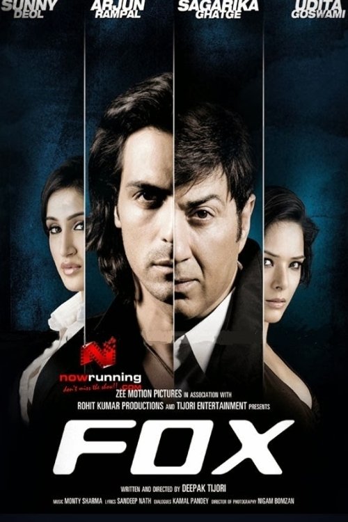Avukat  / Tilki / Fox (2009) poster