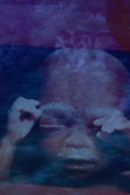 Le Palme e Tangeri (1972) poster
