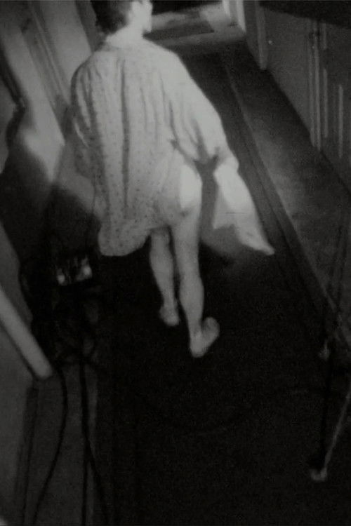 Hotel Cișmigiu (1992) poster