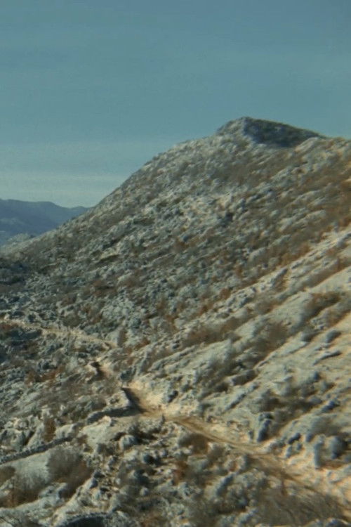 The Road (1977) poster