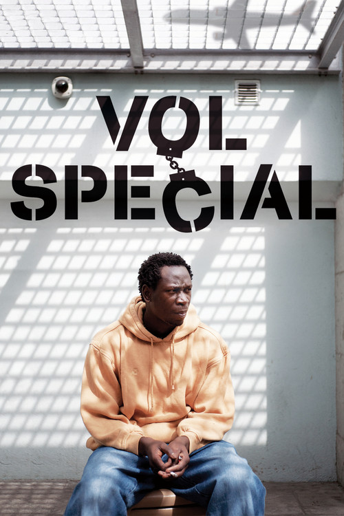 Special Flight (2011) poster