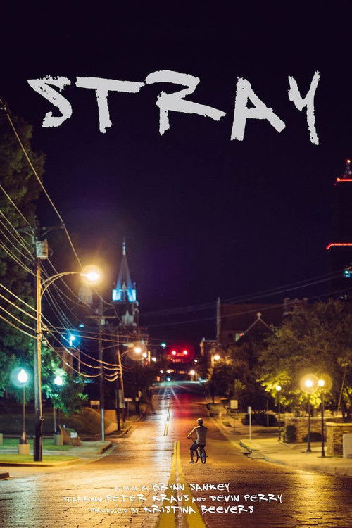 Stray (2015) poster