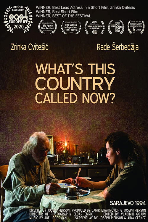 What's This Country Called Now? (2020) poster
