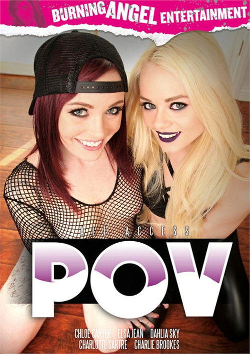 All Access P.O.V. (2017) poster