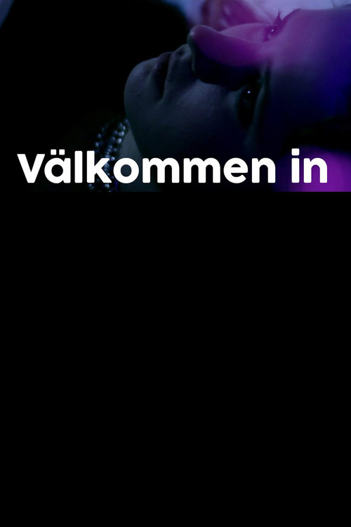 Välkommen in (2013) poster