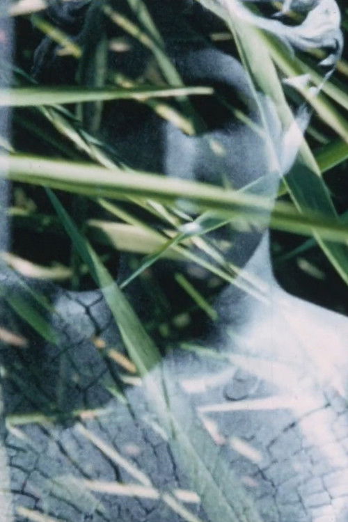 Gallery (1968) poster