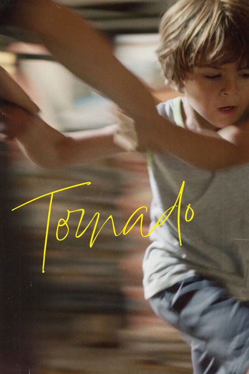 Tornado (2024) poster