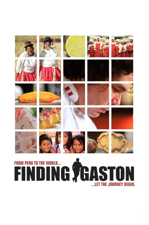 Finding Gastón (2014) poster