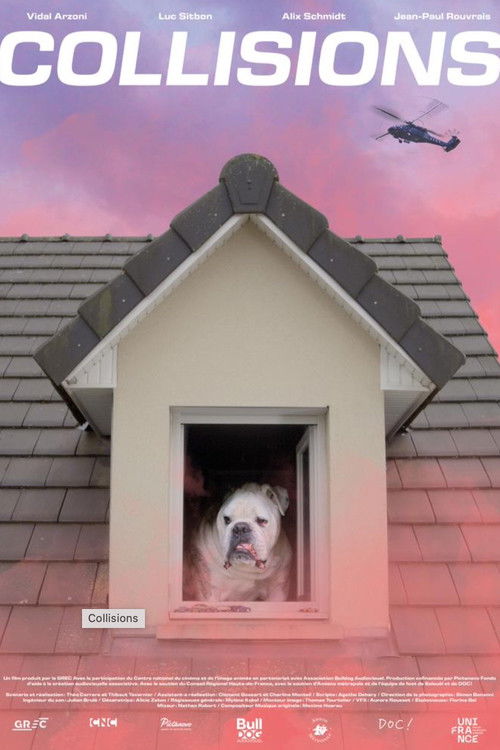 Collisions (2022) poster