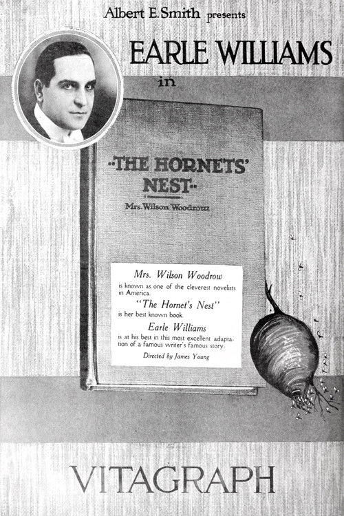 Hornet's Nest (1919) poster