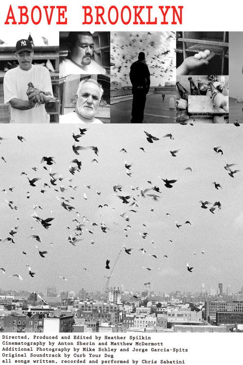 Above Brooklyn (2009) poster