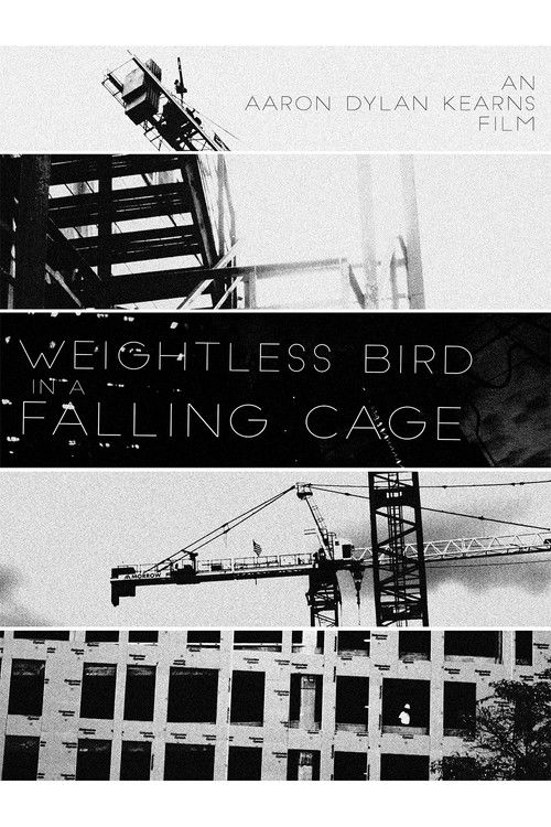 Weightless Bird In A Falling Cage (2017) poster