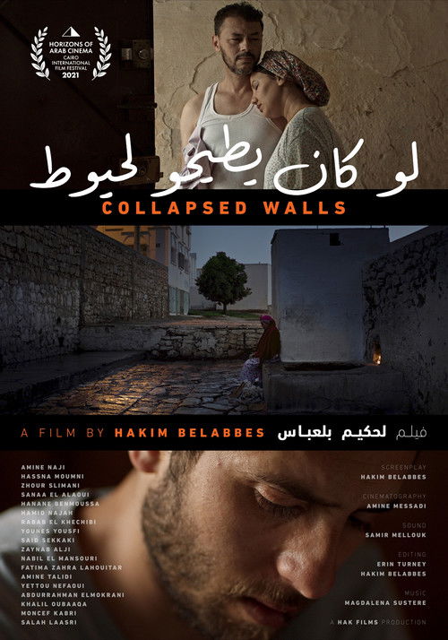 Collapsed Walls (2022) poster