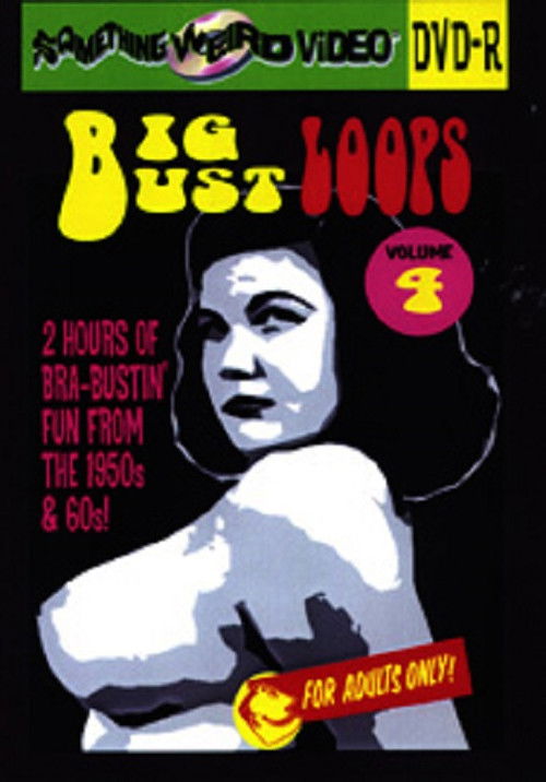 Big Bust Loops Volume 4 (2009) poster