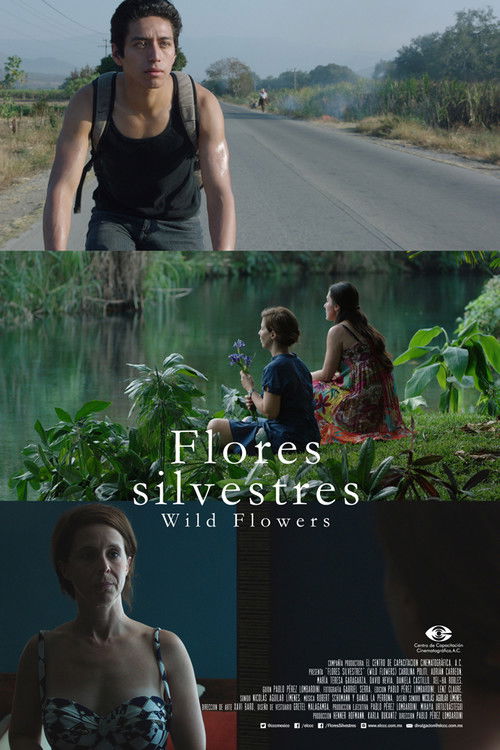 Flores silvestres (2015) poster