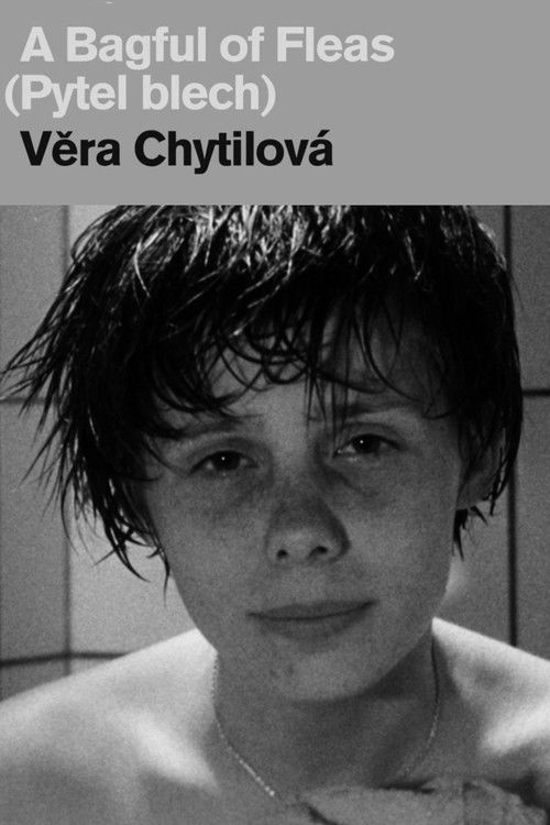 Pytel blech (1963) poster