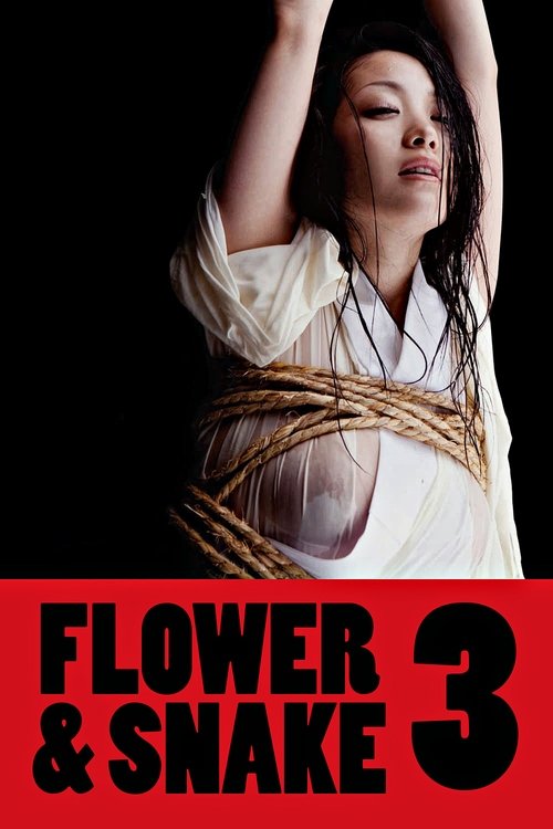 花と蛇 3 (2010) poster
