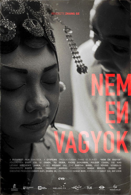 Nem én vagyok (2026) poster