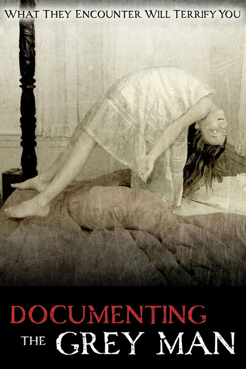 Documenting the Grey Man (2011) poster