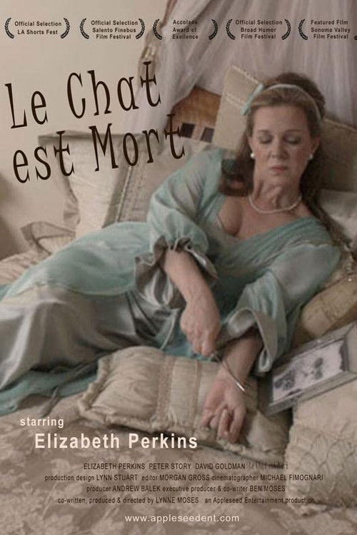 Le Chat Est Mort (2019) poster