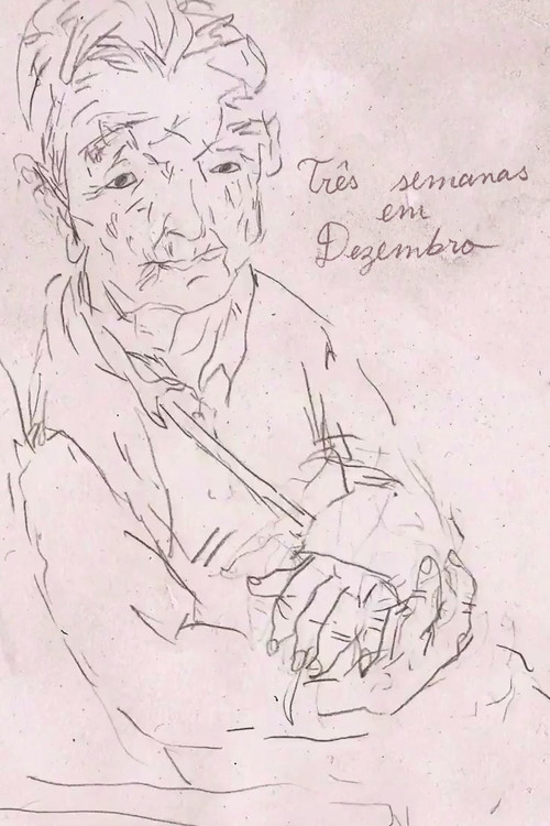 Três Semanas em Dezembro (2013) poster