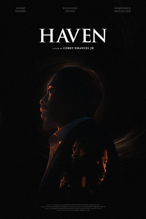 Haven (2024) poster