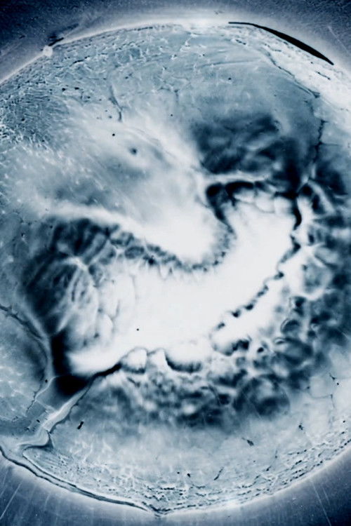 Skinship (2022) poster