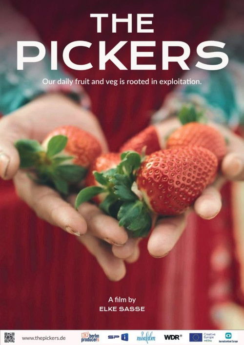 The Pickers (2024) poster