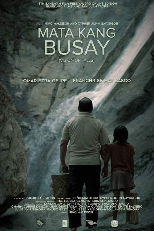 Vision of the Falls (2022) poster