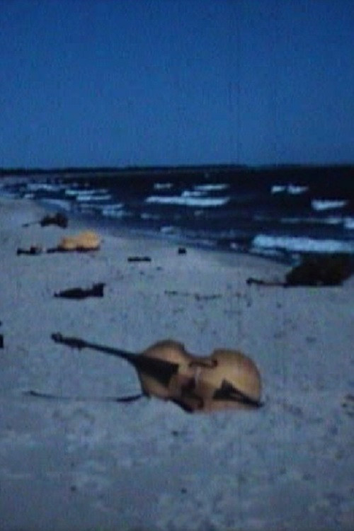 De förstenade basfiolerna (1968) poster