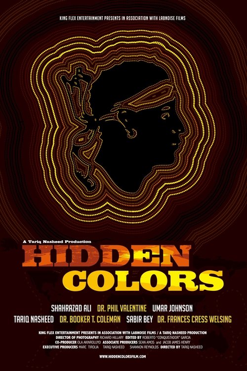 Hidden Colors (2011) poster