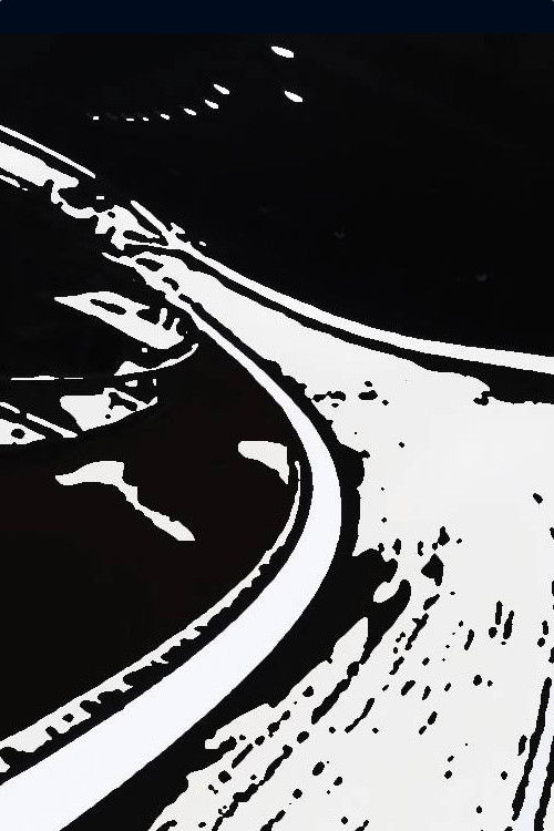 Tigersprung (2018) poster