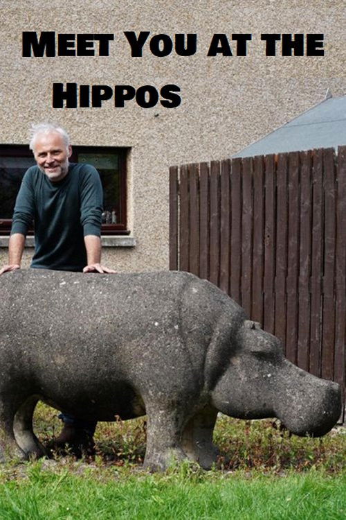 Meet You at the Hippos (2021) poster