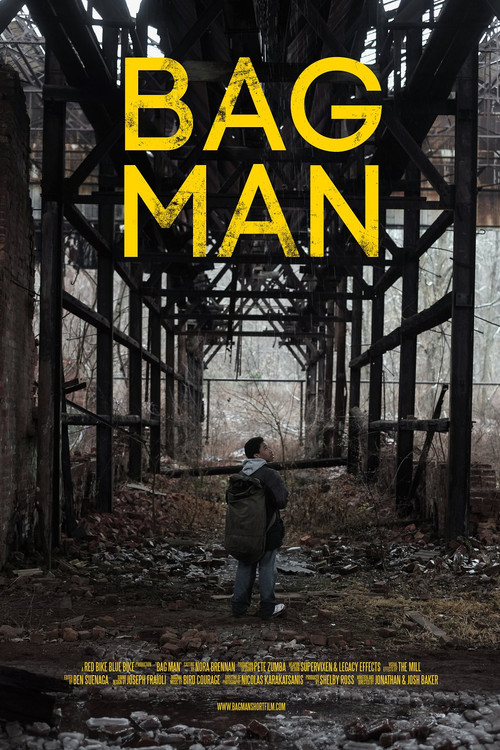 Bag Man (2014) poster