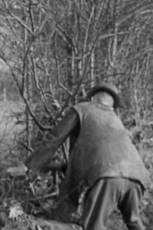 Hedging (1942) poster