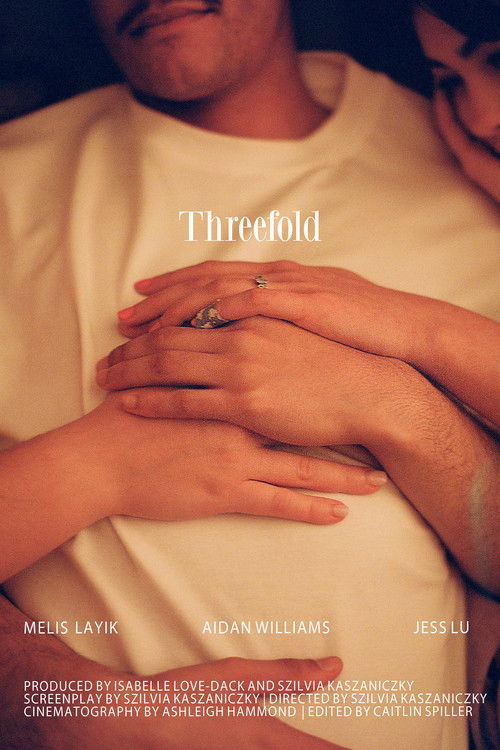 Threefold (2026) poster