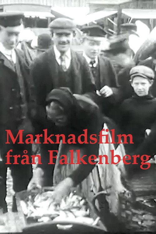Falkenberg Market (1905) poster