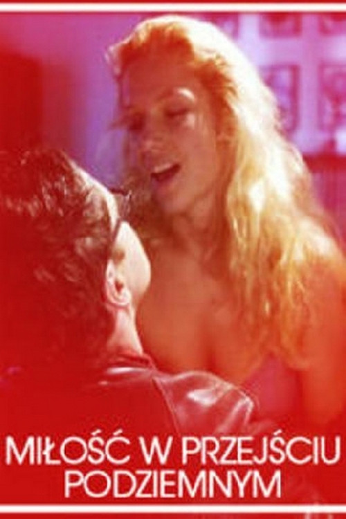 Love in an Underground Passage (2007) poster