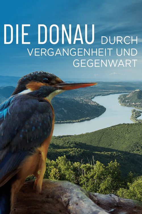 Die Donau – Durch Vergangenheit und Gegenwart (2021) poster