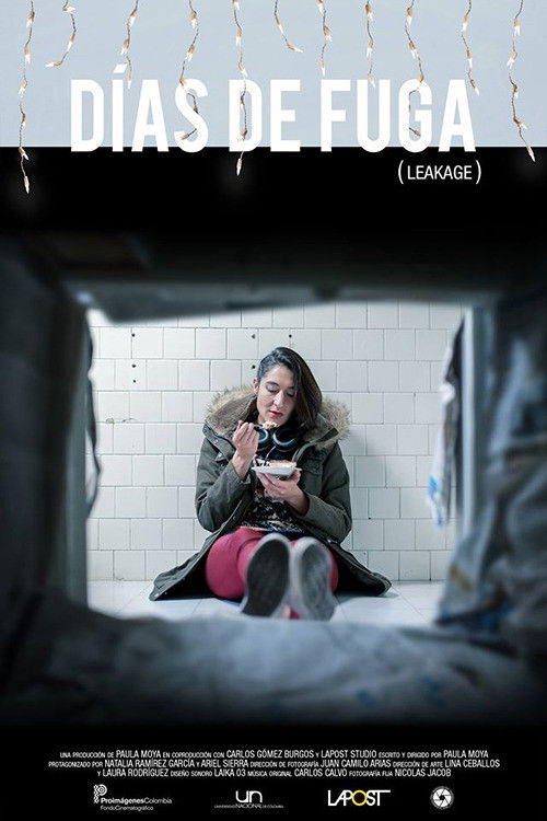 Días de Fuga (2016) poster
