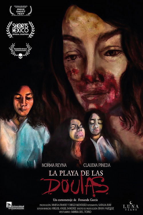 La playa de las doulas (2021) poster