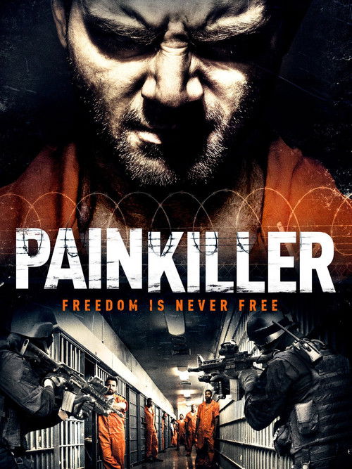 Painkiller (2013) poster