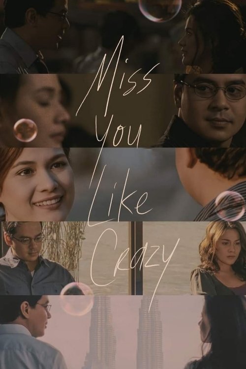 Miss You Like Crazy (2010) poster