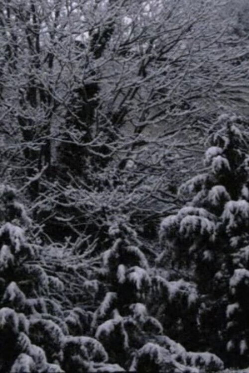 Snow Film (2019) poster