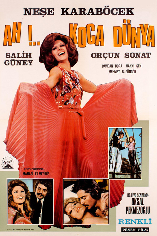 Ah Koca Dünya (1972) poster