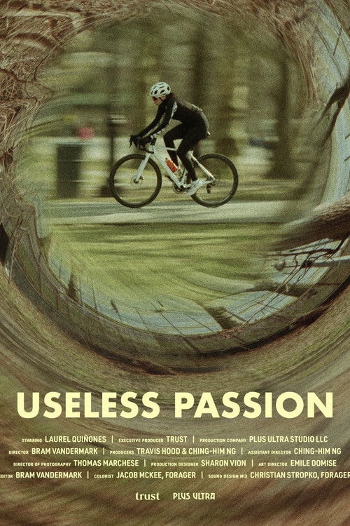 Useless Passion poster