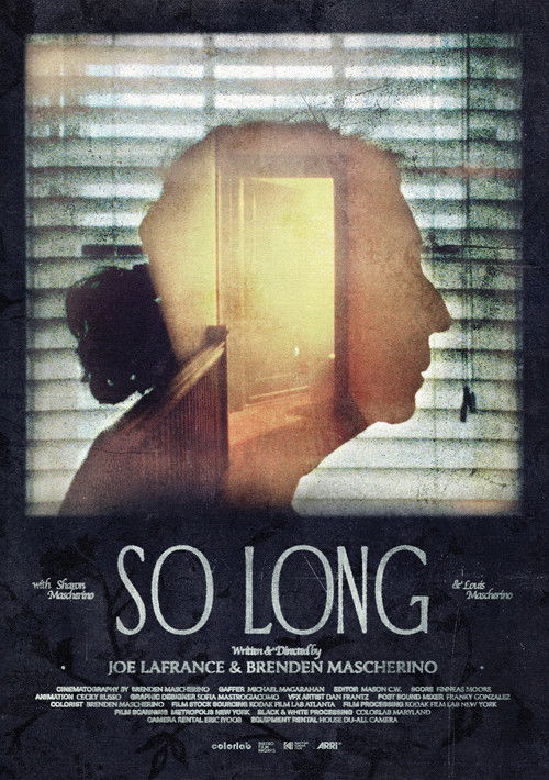 So Long (2025) poster