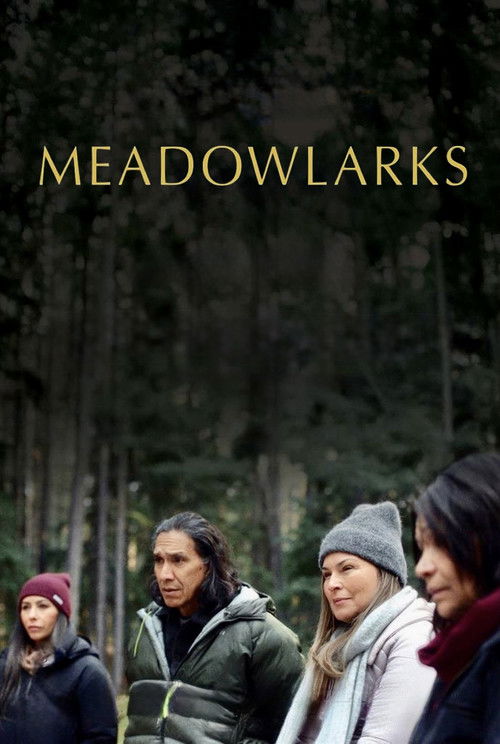 Meadowlarks (2025) poster