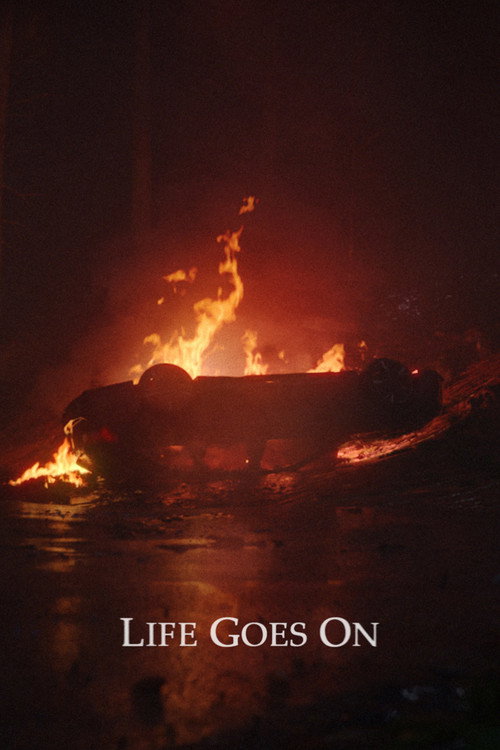 Life Goes On poster